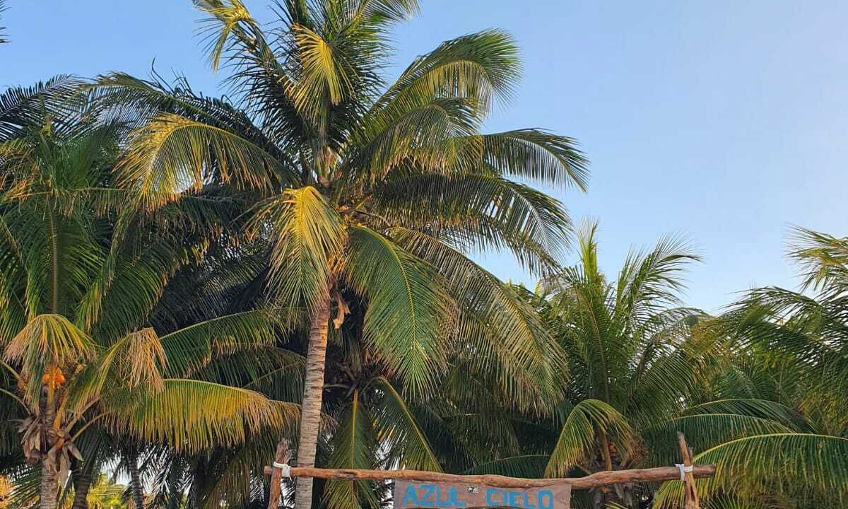 Photo of Outdoor in San Crisanto