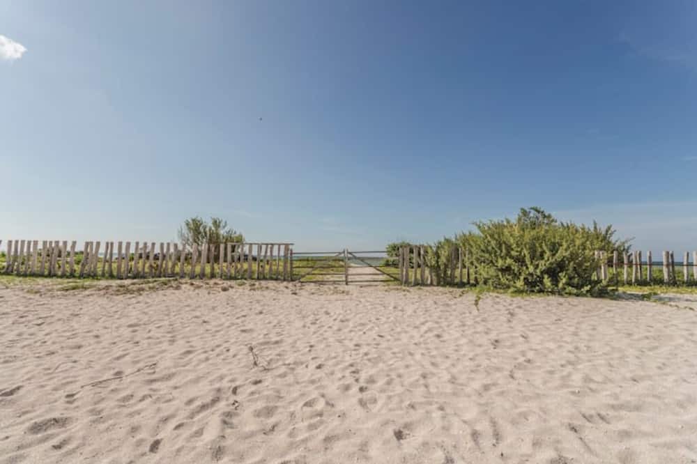 Photo of Others in Chicxulub Puerto