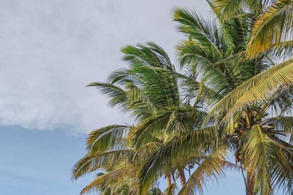 Photo of Outdoor in Chicxulub Puerto
