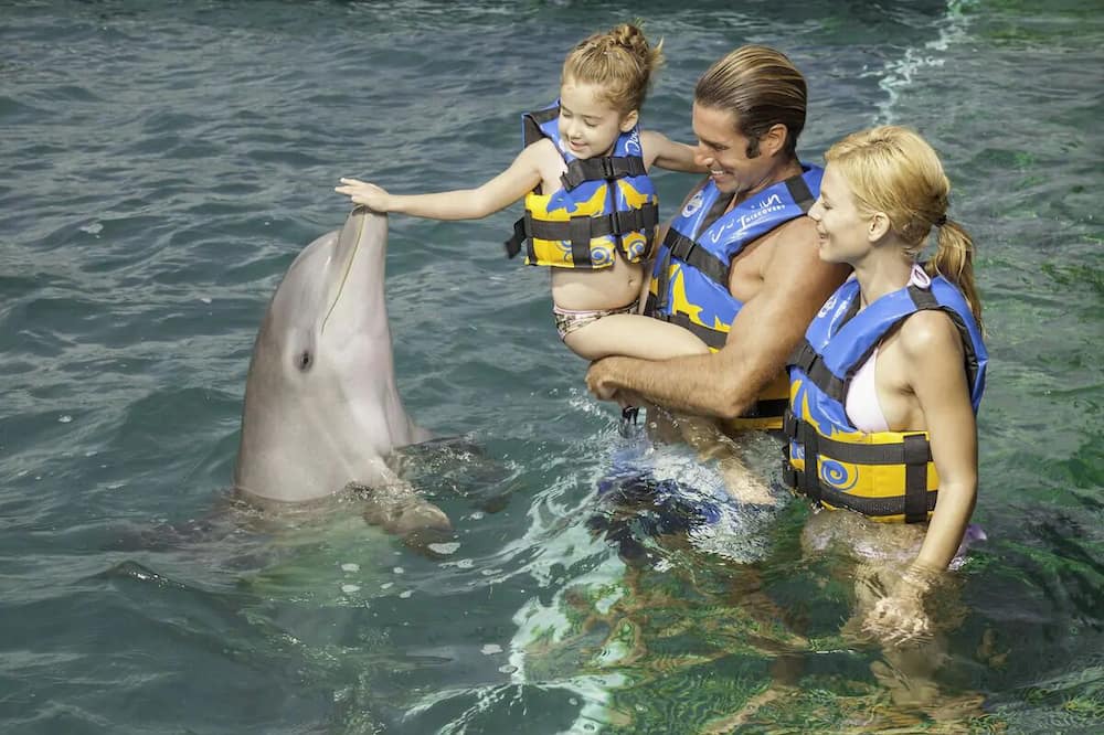 Photo of Others in Cancun