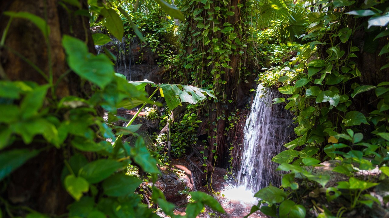 Photo of Outdoor in Playacar