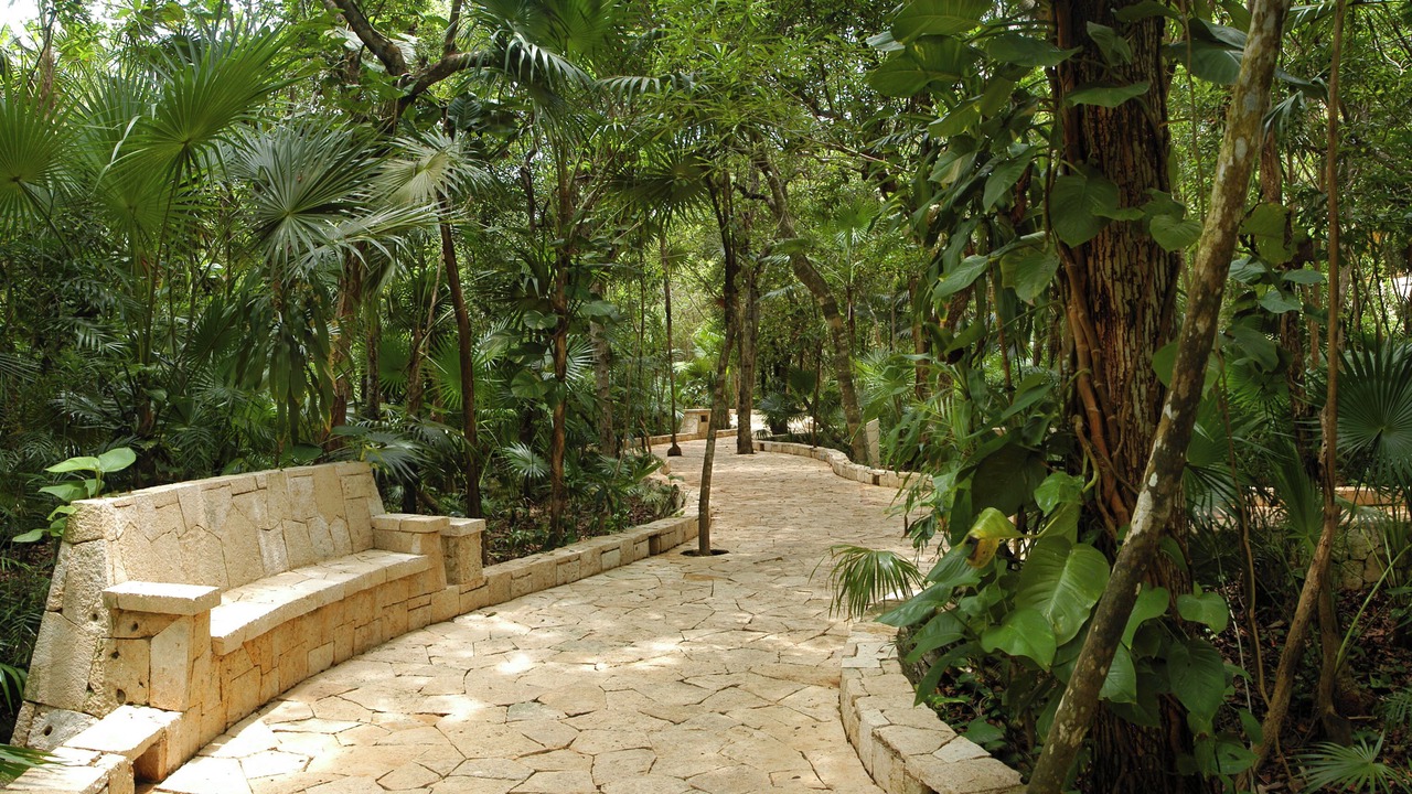 Photo of Outdoor in Xpu-Ha