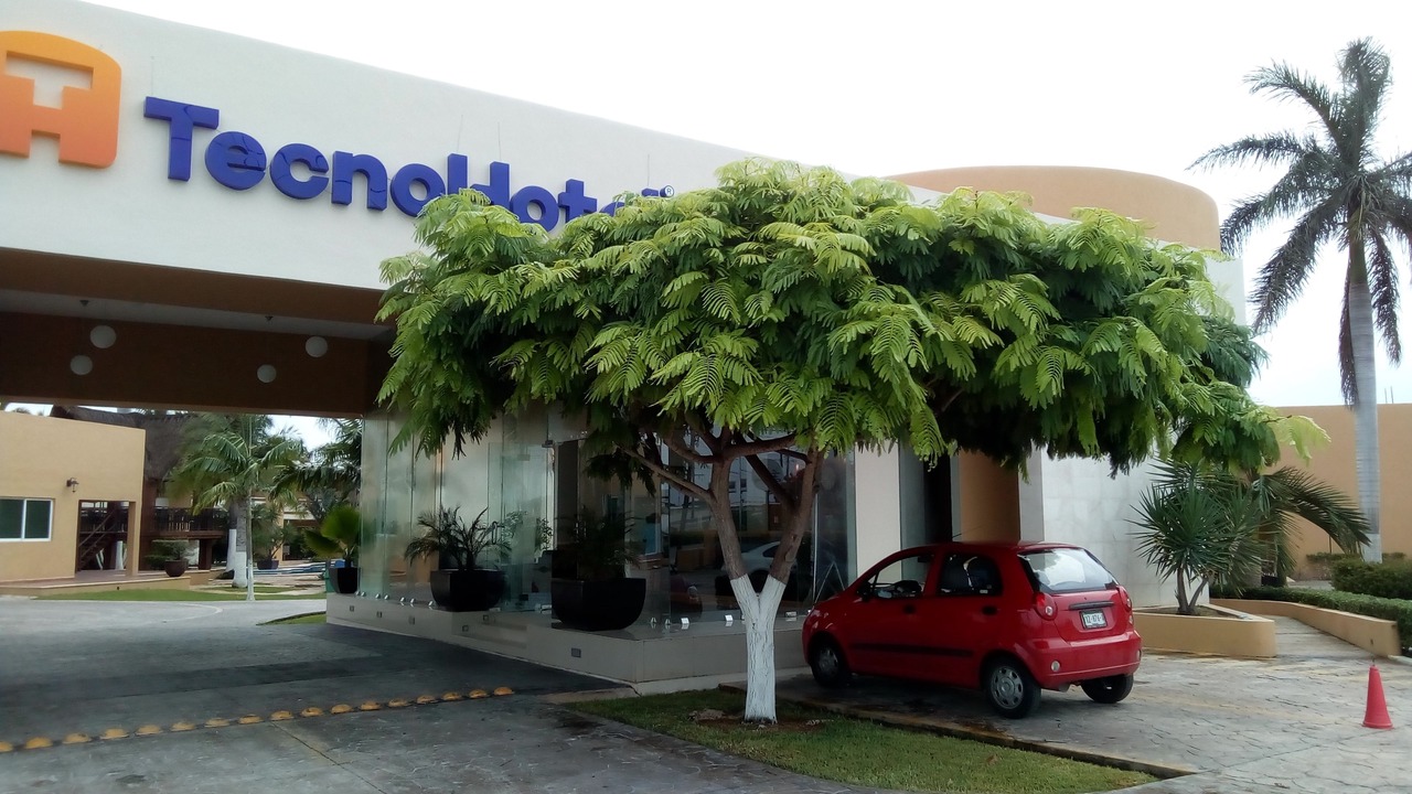 Photo of Others in Merida