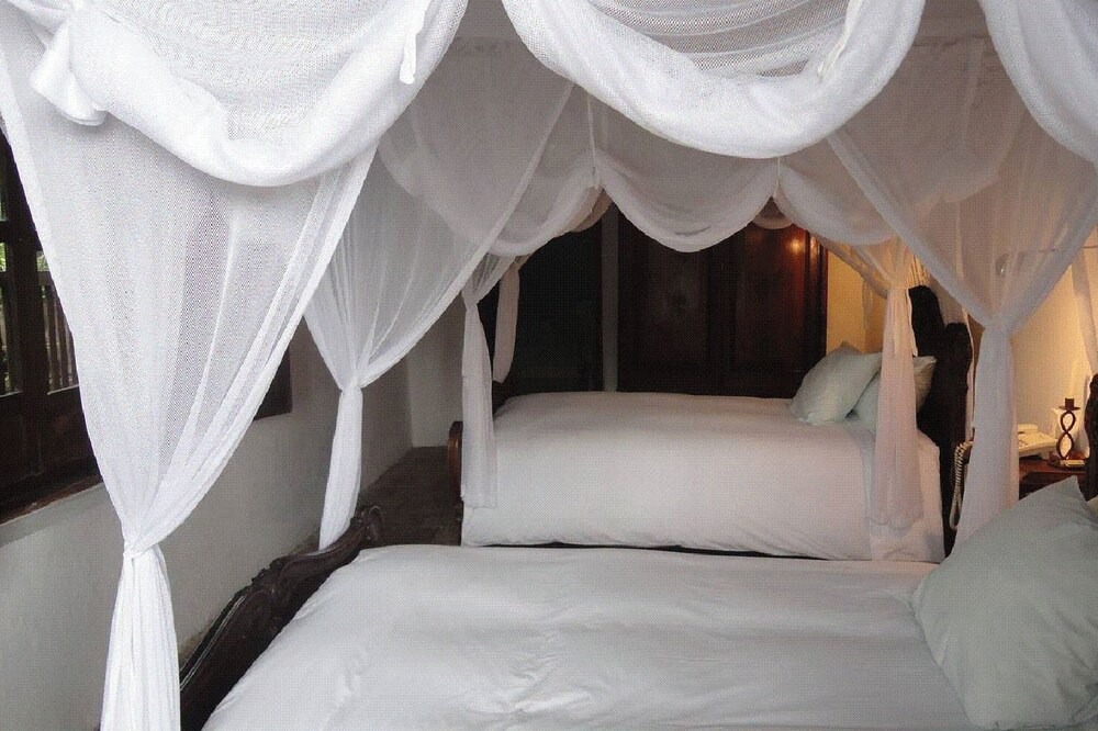 Photo of Bedroom in La Trinitaria