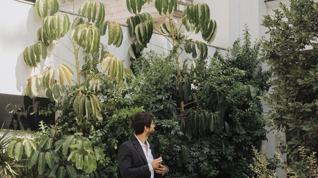 Photo of Outdoor in Polanco