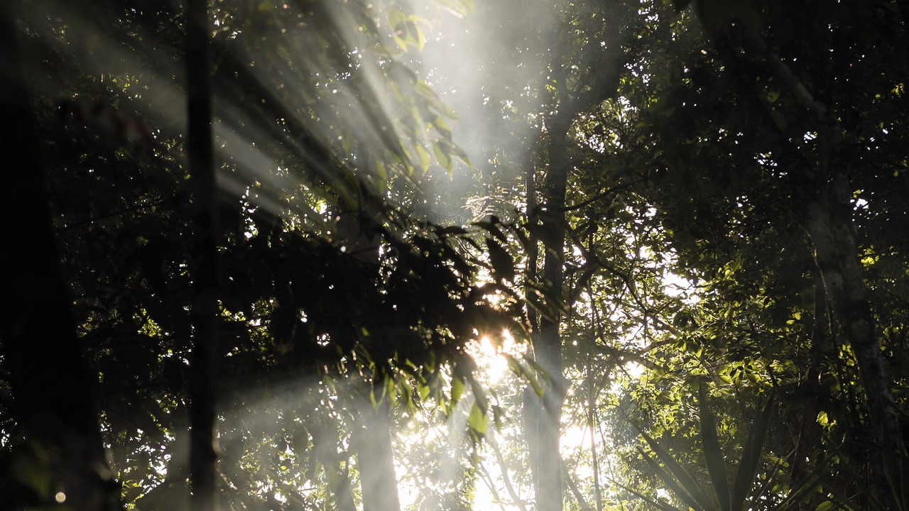Photo of Outdoor in Leona Vicario