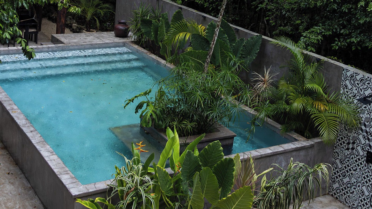Photo of Patio Balcony in Leona Vicario