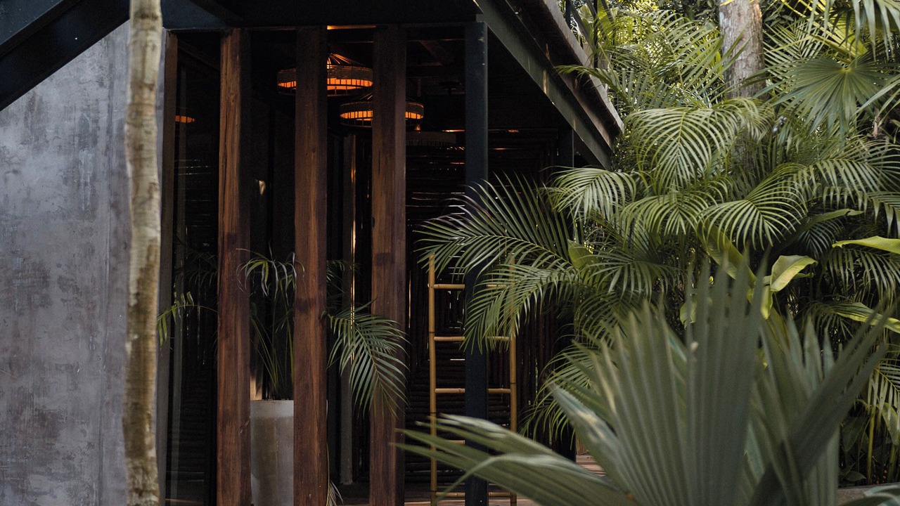 Photo of Outdoor in Leona Vicario