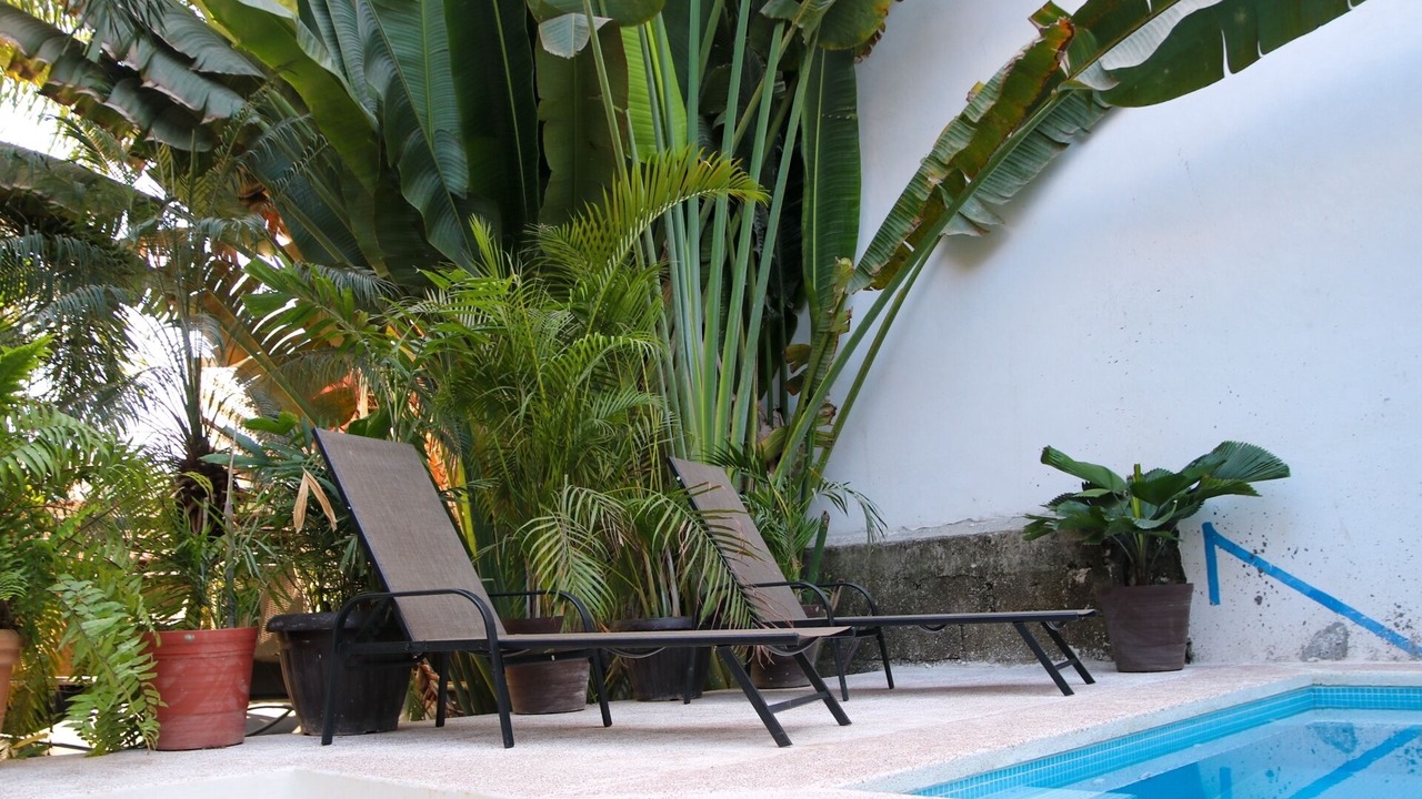 Photo of Outdoor in Chacala