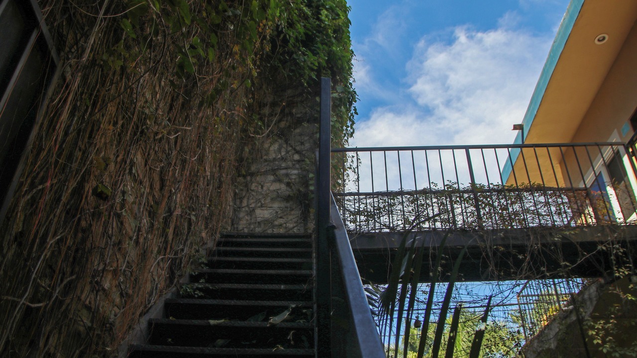 Photo of Outdoor in Chacala