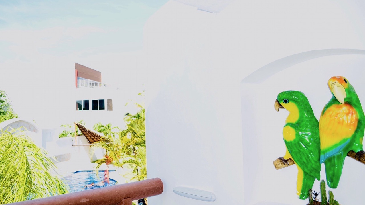 Photo of Others in Playacar