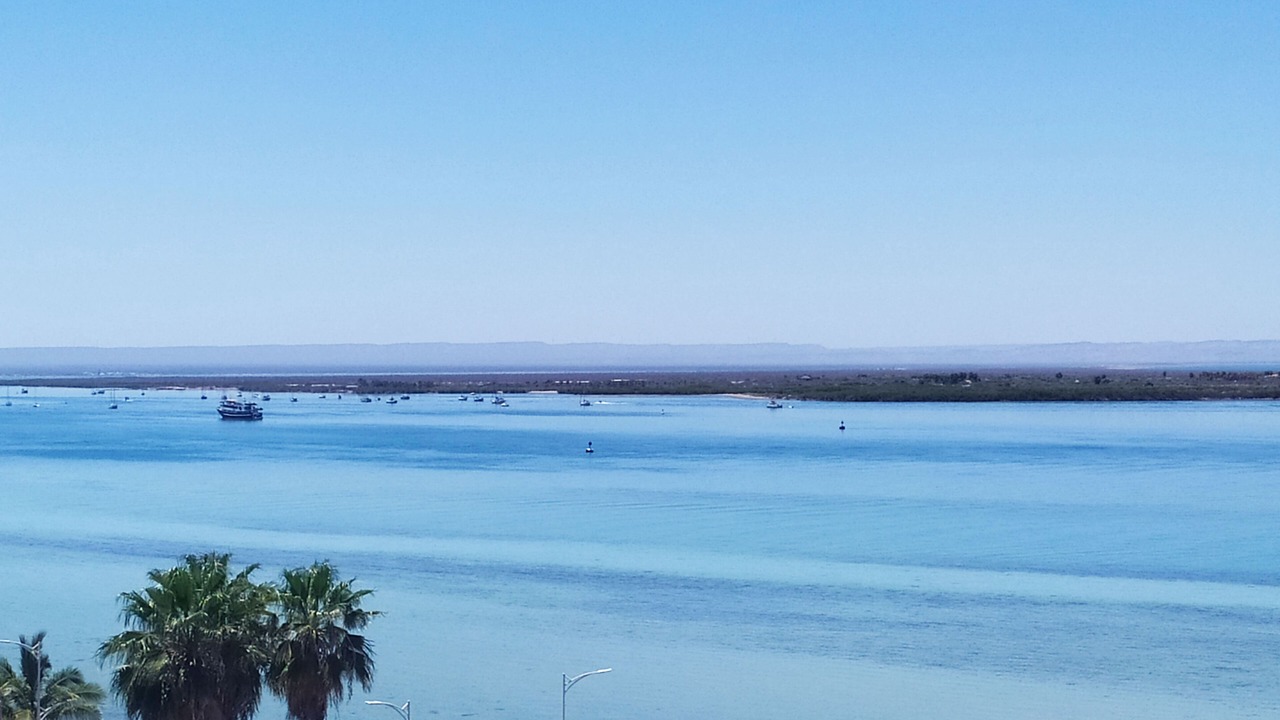 Photo of Outdoor in Esterito