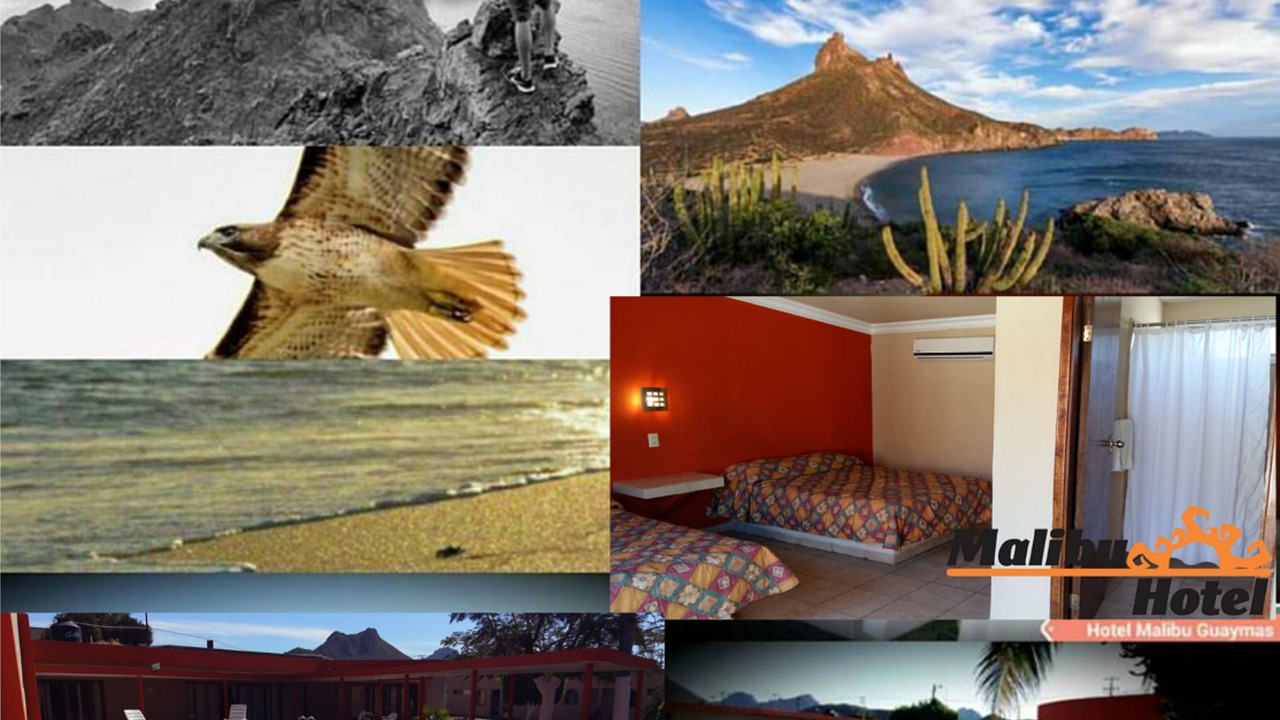Photo of Others in Guaymas