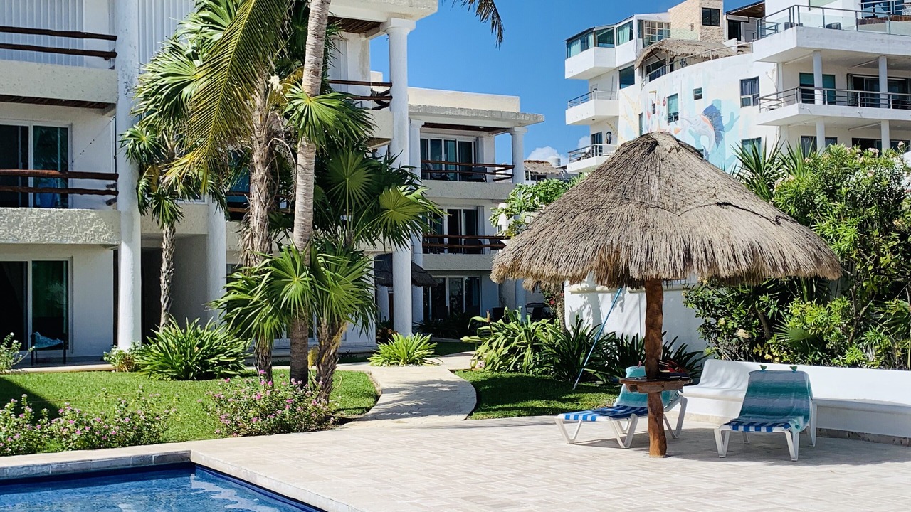Photo of Others in Puerto Morelos