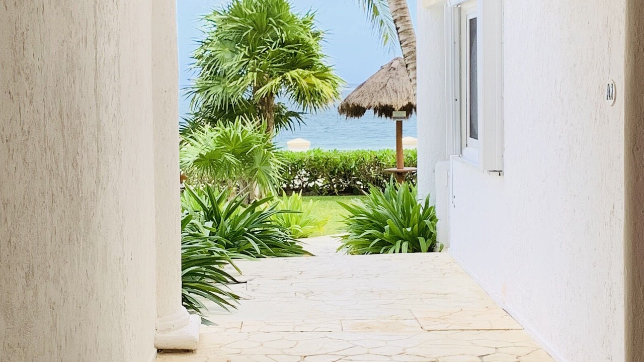 Photo of Others in Puerto Morelos