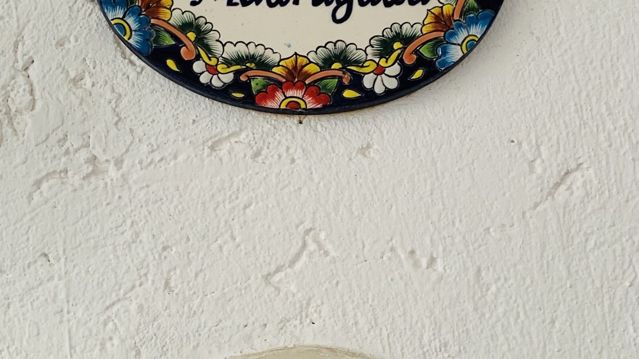 Photo of Others in Puerto Morelos