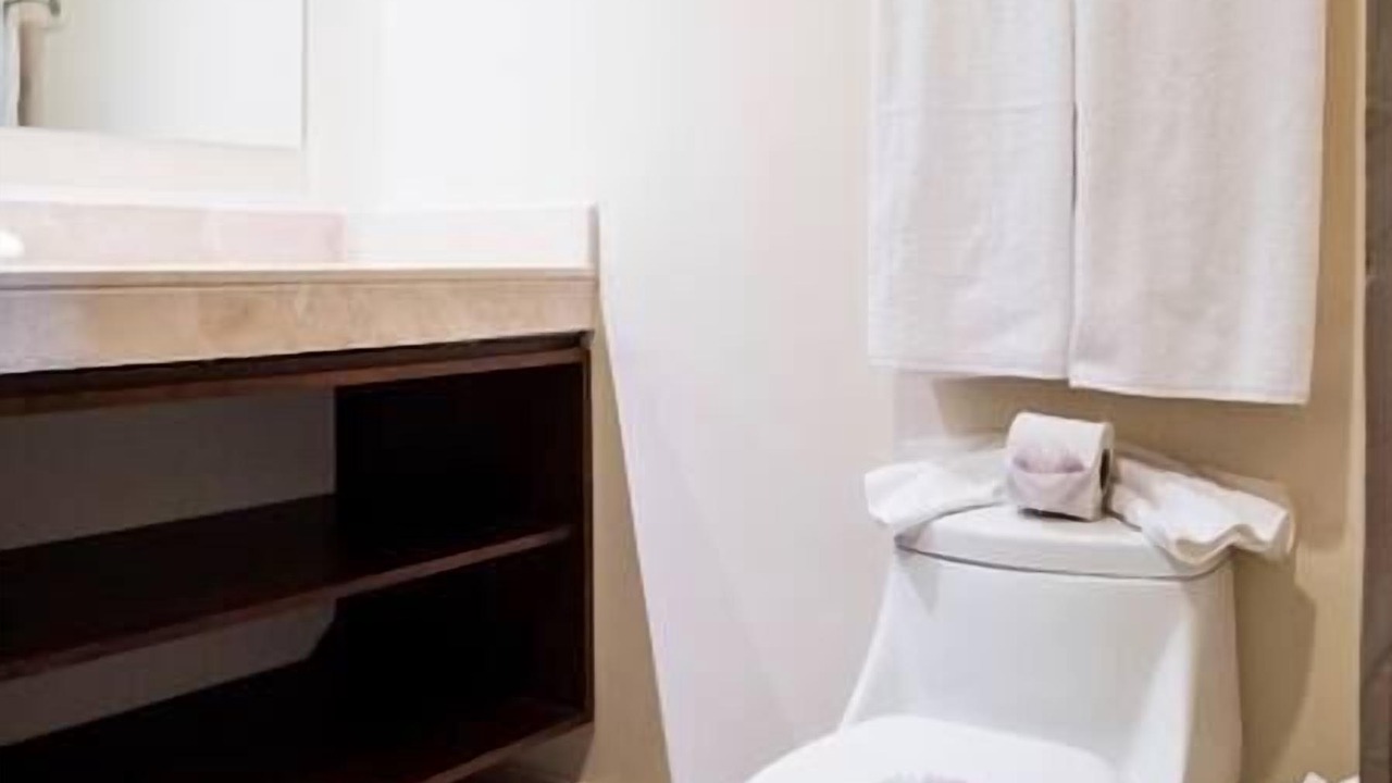 Photo of Bathroom in Zama