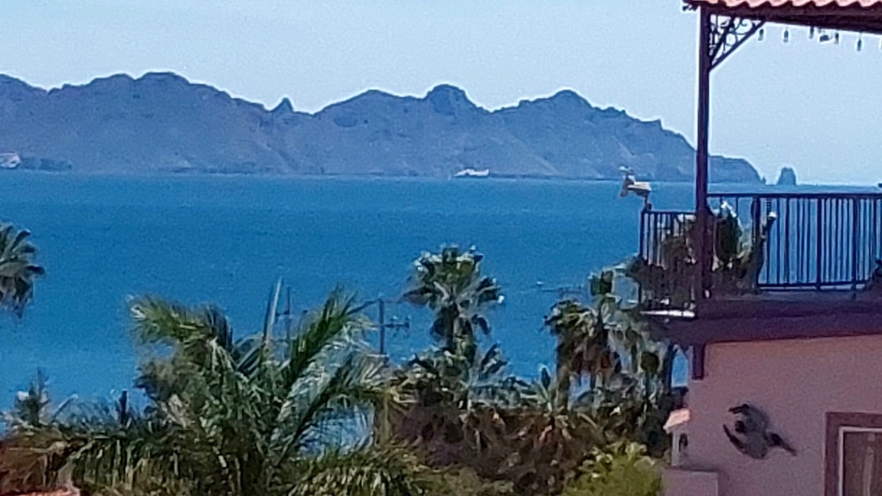 Photo of Outdoor in San Carlos