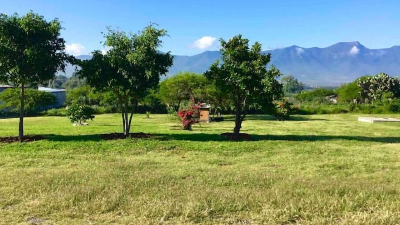 Photo of Outdoor in Tlacolula de Matamoros