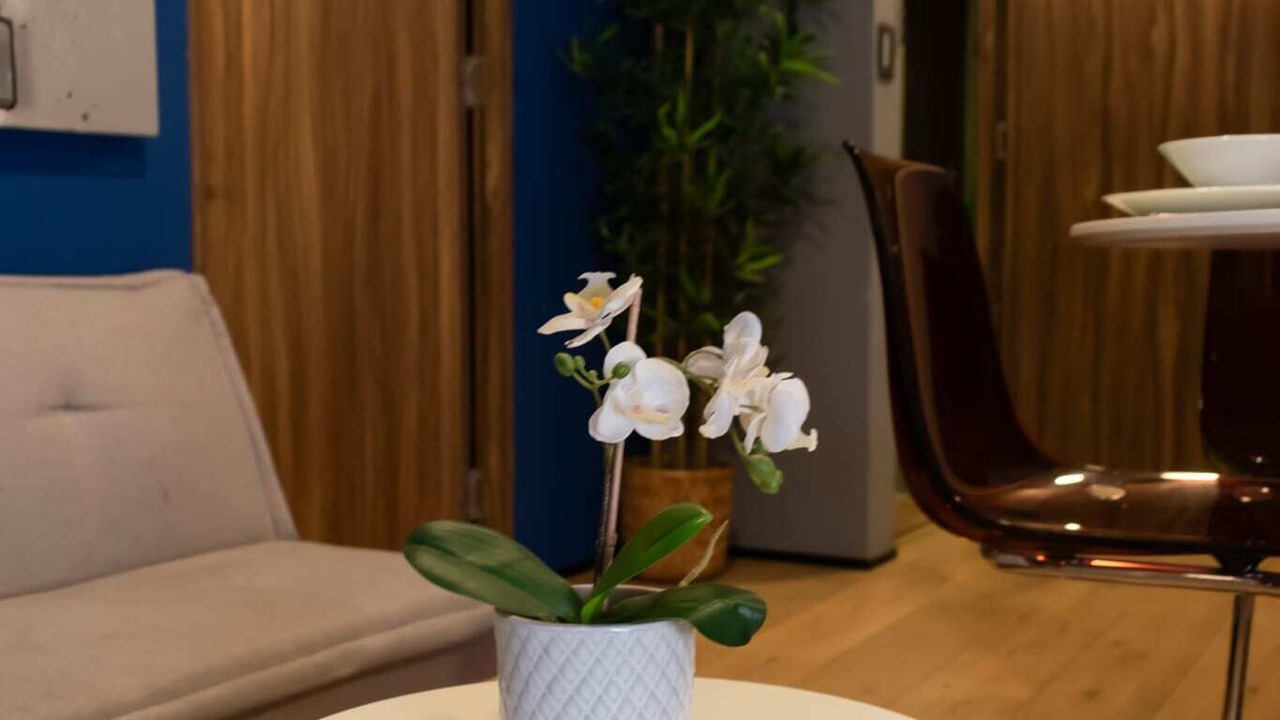 Photo of Livingroom in La Condesa
