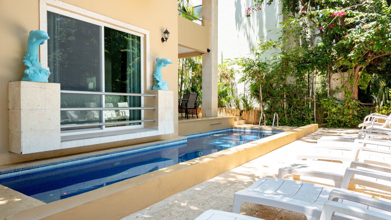 Photo of Outdoor in Playacar