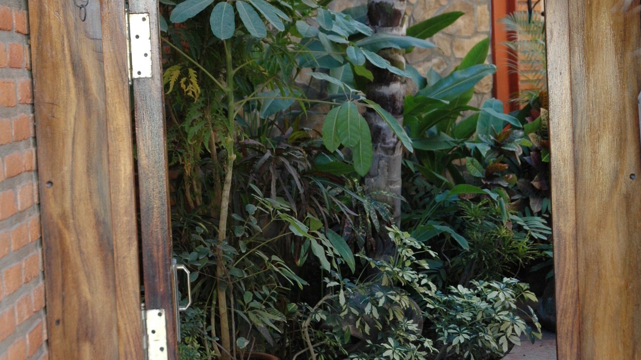 Photo of Outdoor in La Cruz de Huanacaxtle