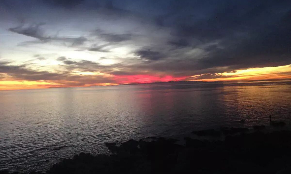 Photo of Others in Cholla Bay