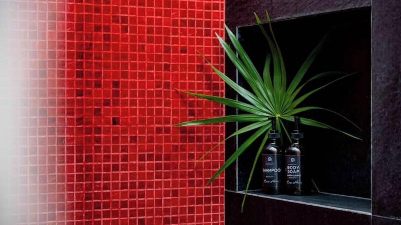 Photo of Bathroom in Colonia Andres