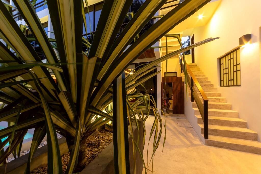 Photo of Outdoor in Tulum City Center