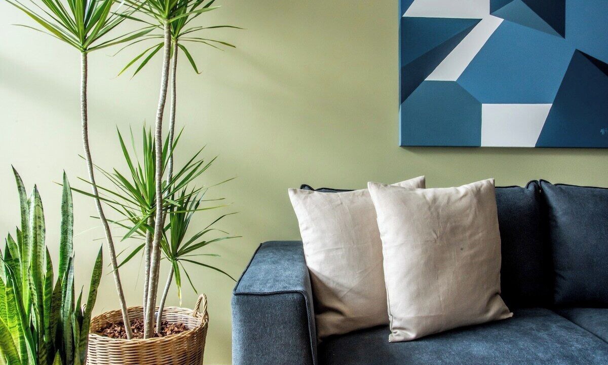 Photo of Livingroom in Hipodromo