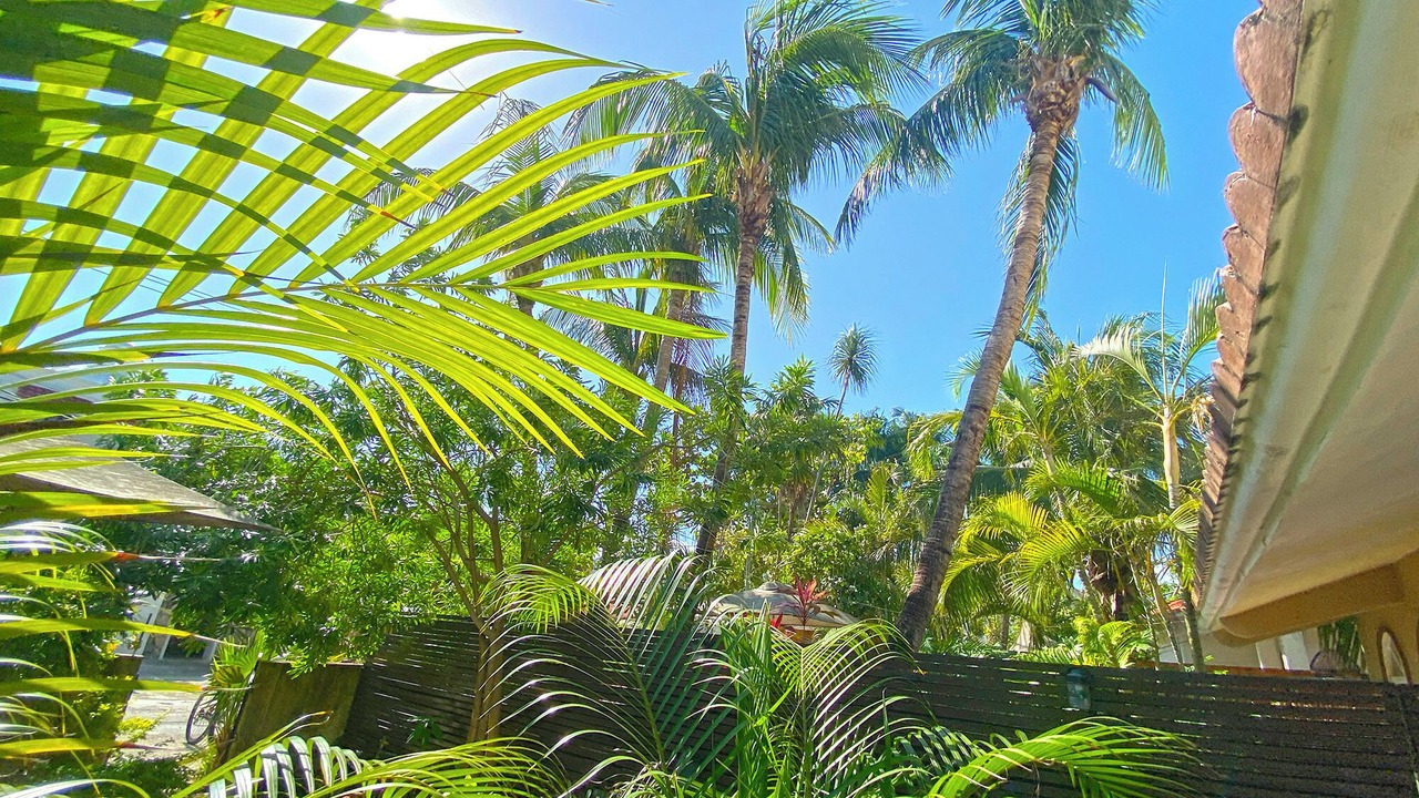 Photo of Outdoor in Puerto Morelos