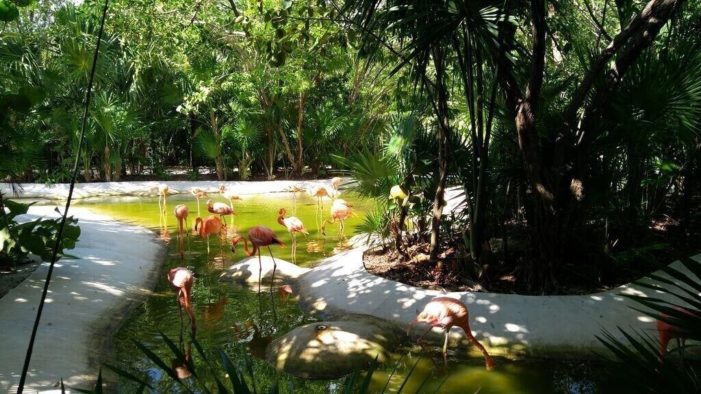 Photo of Outdoor in Villa Juarez