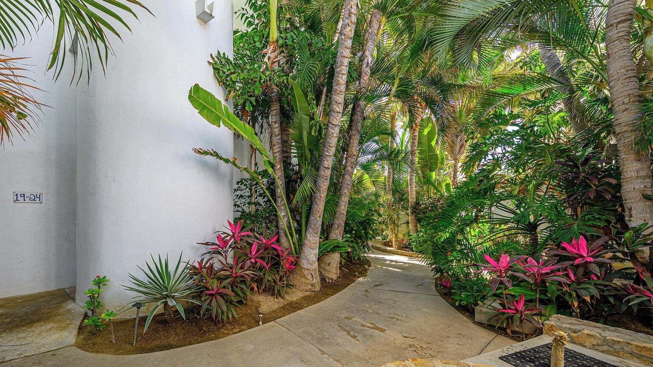 Photo of Outdoor in San Jose del Cabo