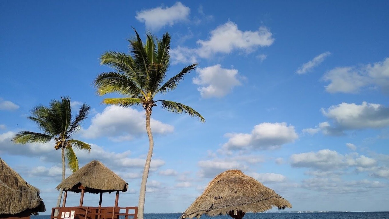 Photo of Others in Downtown Cancun