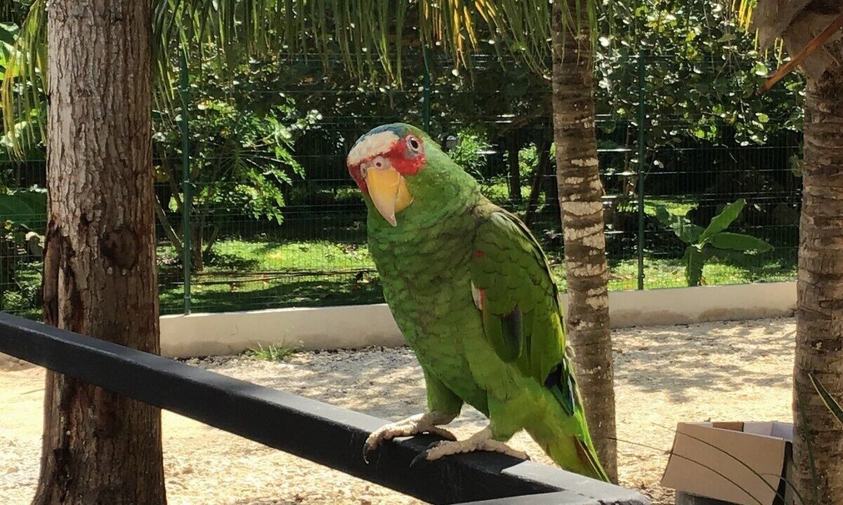 Photo of Outdoor in Bacalar