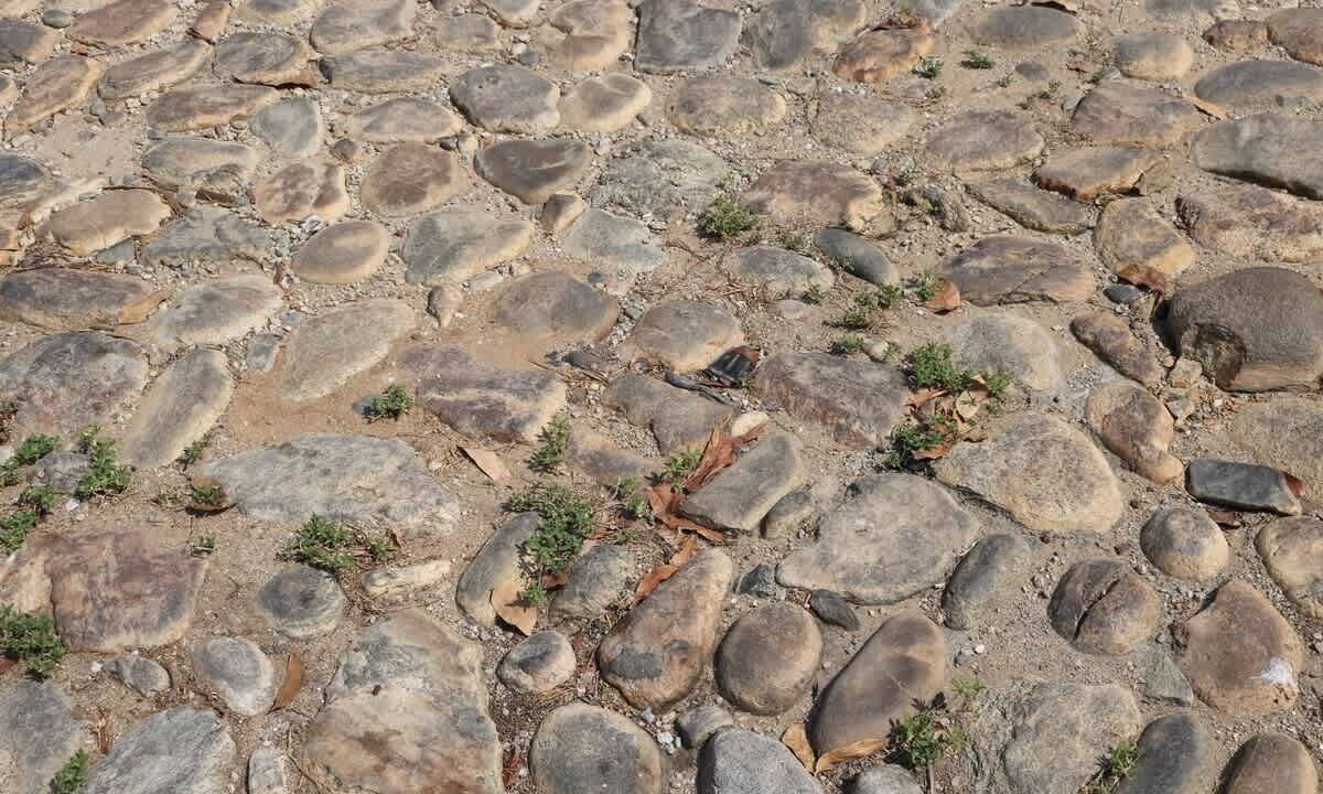 Photo of Others in Hidalgo