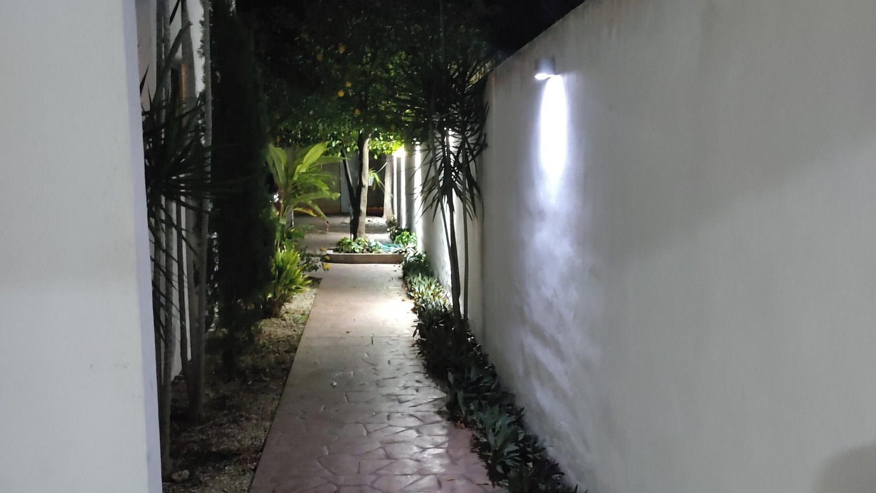 Photo of Outdoor in Bojorquez