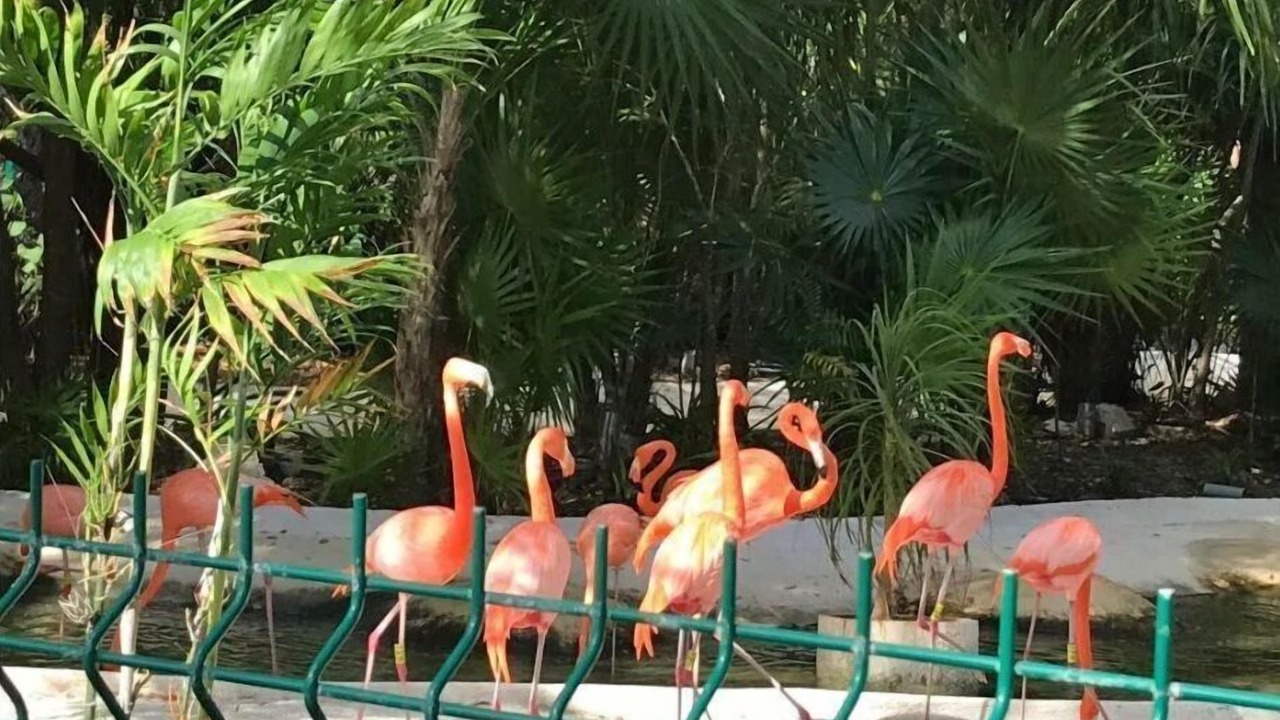 Photo of Outdoor in Villa Juarez