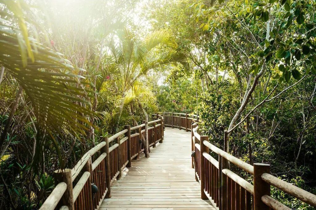 Photo of Outdoor in Villa Juarez