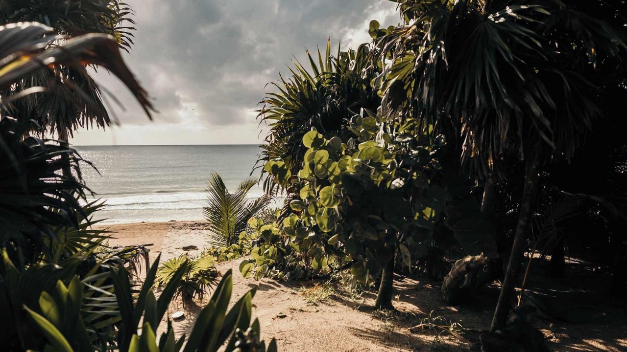 Photo of Others in Tulum