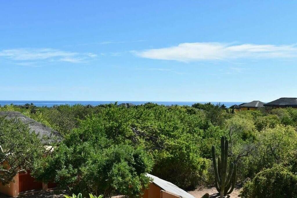 Photo of Others in Cabo Pulmo