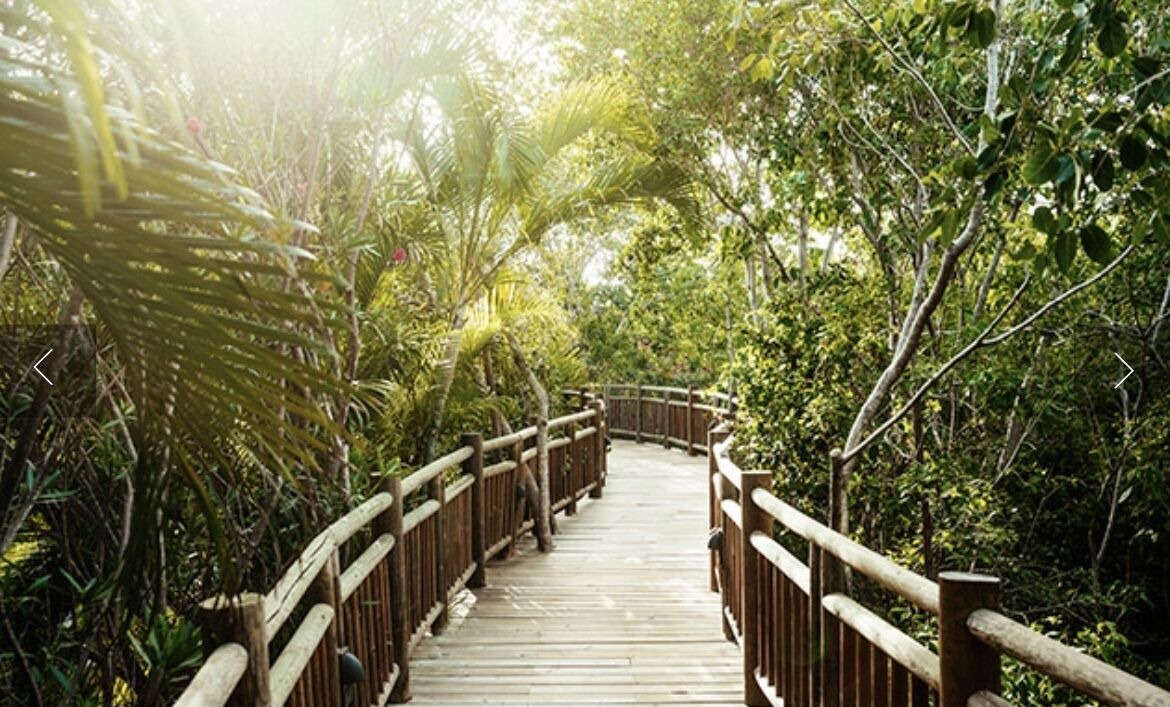 Photo of Outdoor in Villa Juarez