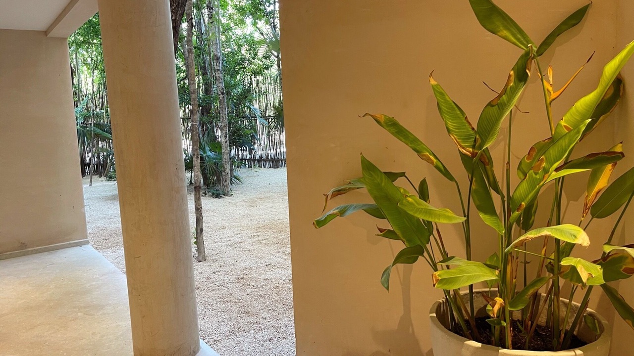 Photo of Outdoor in Zama