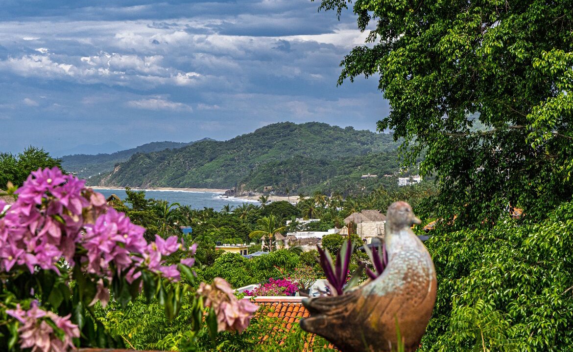 Photo of Others in Sayulita