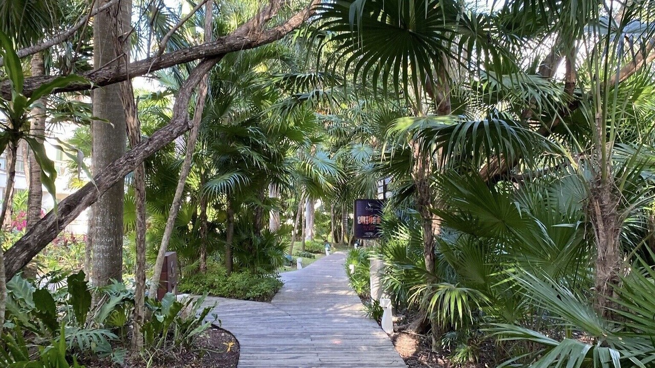 Photo of Outdoor in Villa Juarez