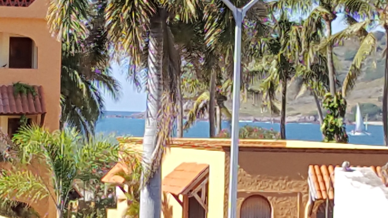 Photo of Outdoor in Zona Dorada
