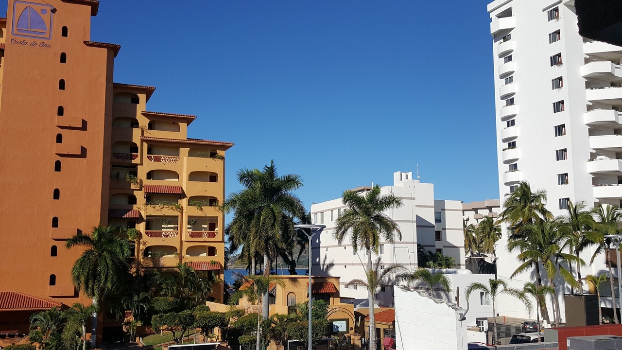 Photo of Others in Zona Dorada