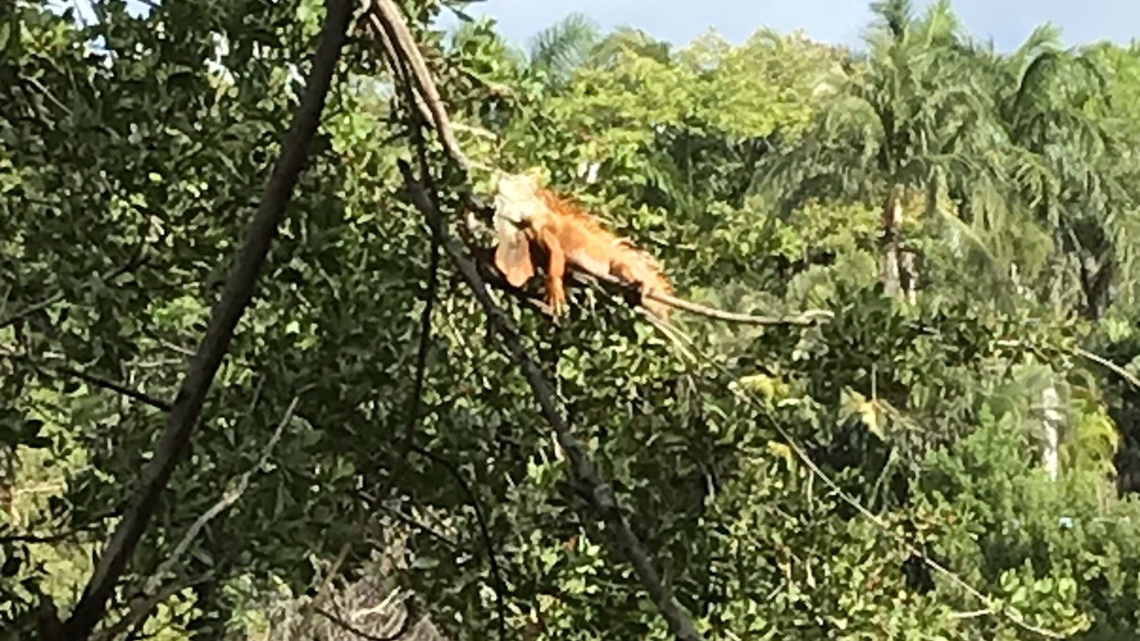 Photo of Outdoor in Villa Juarez