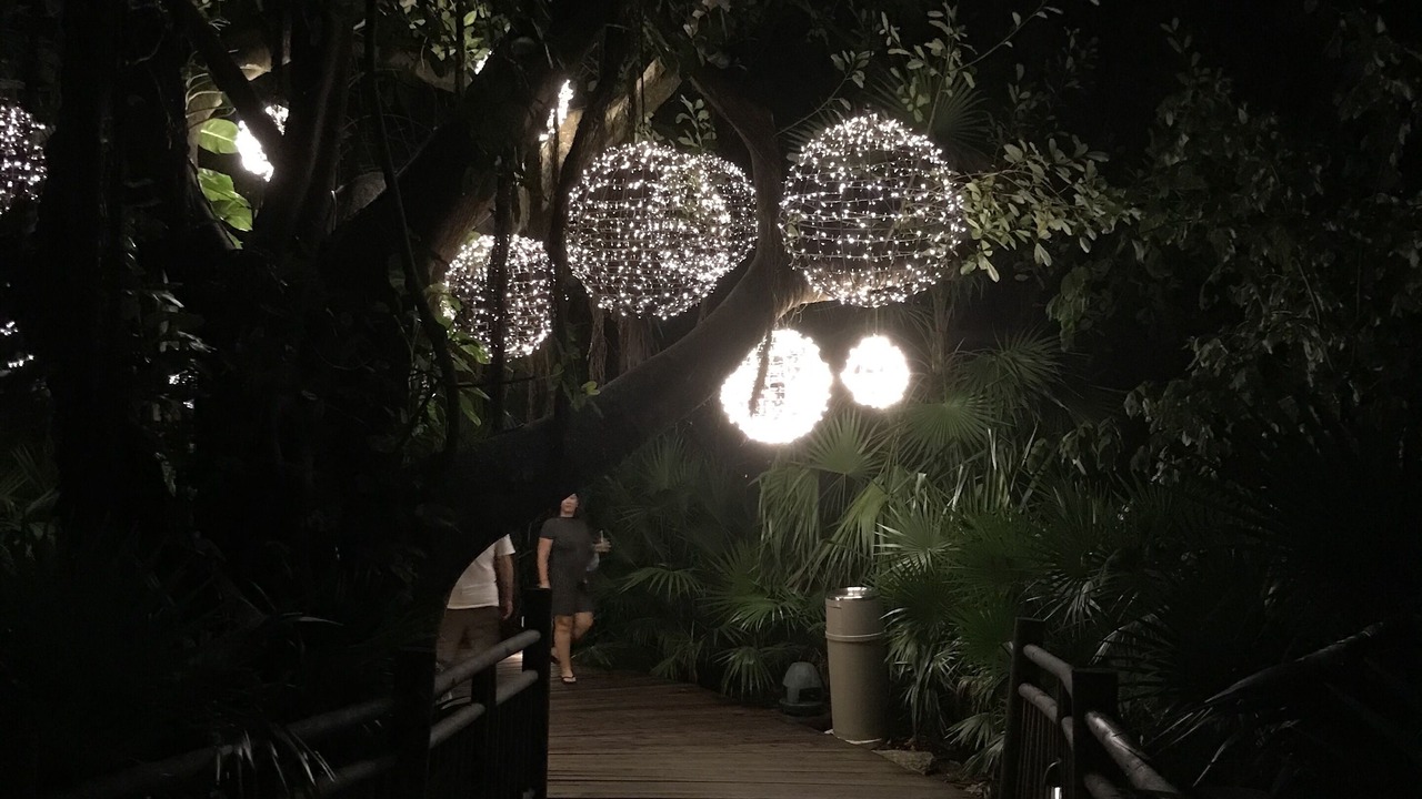Photo of Outdoor in Villa Juarez