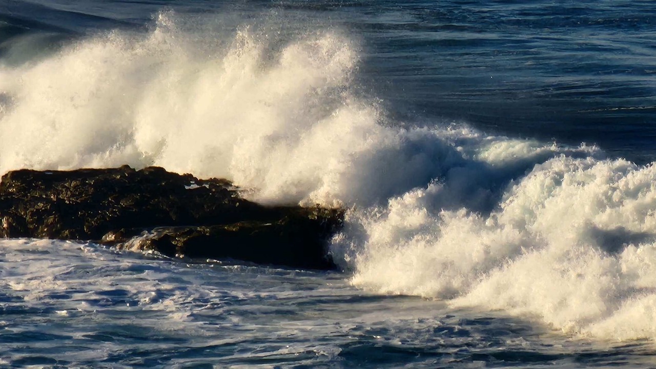 Photo of Others in El Pescadero